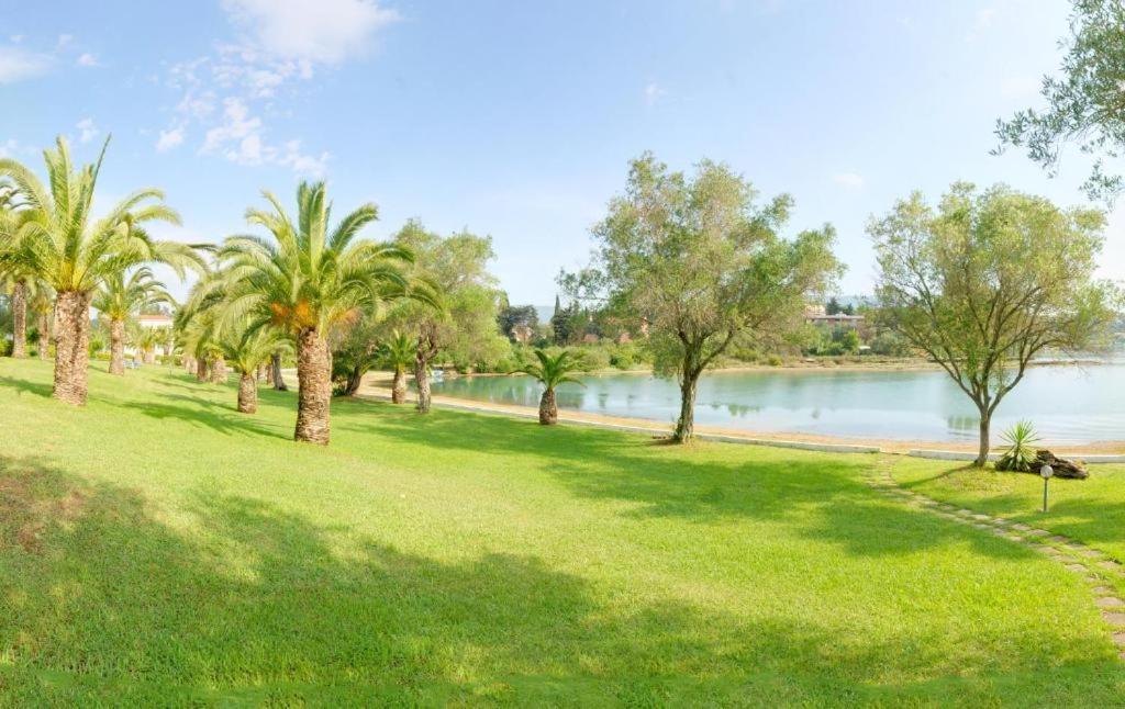 Palm Tree Corfu Apt. Danilia Dış mekan fotoğraf